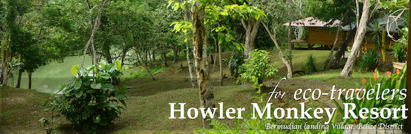 Howler Monkey Resort