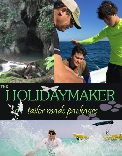 Holiday Maker Packages