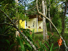 Butterfly Cabin view