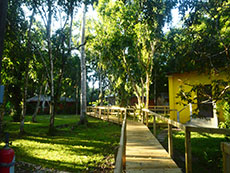 View of butterfly cabin 