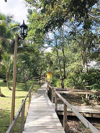 environmentally friendly boardwalk