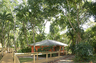 wooden walkway to access the Monkey cabin