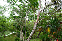 Rustic and comfortable river view cabins