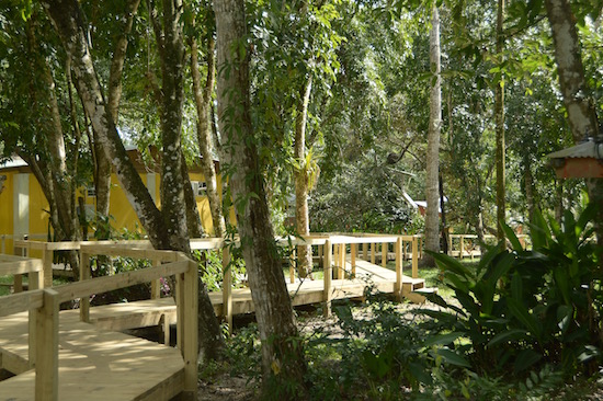 Wooden walkway connects to the cabins and the river water swimming pool.