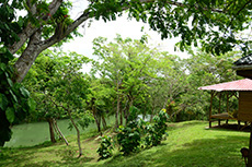 outside view of the white maya cabin with riverfront | Howler Monkey lodge