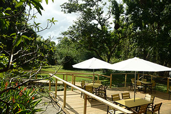 Open air patio a good place to have breakfast or just sit and enjoy the surrounding with nature sounds. #belize #nature #jungle