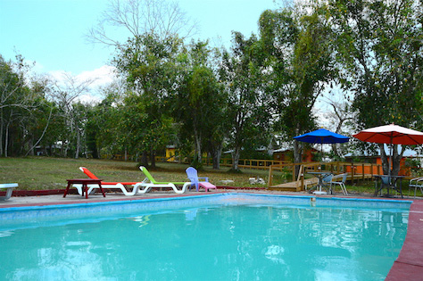 Swimming pool is in the middle of the jungle.