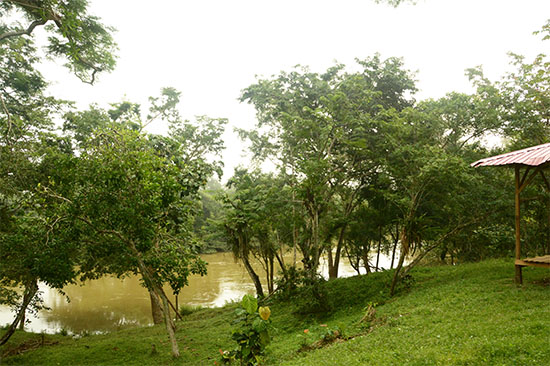 view from inside out of the White maya cabin