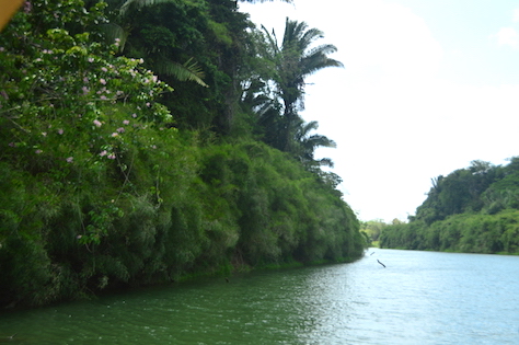 River Boat Drift