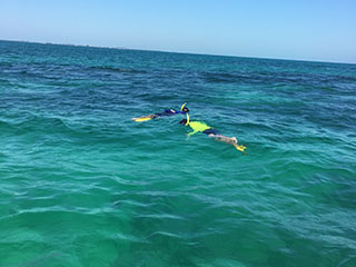 Private Barrier Reef Snorkel Adventure