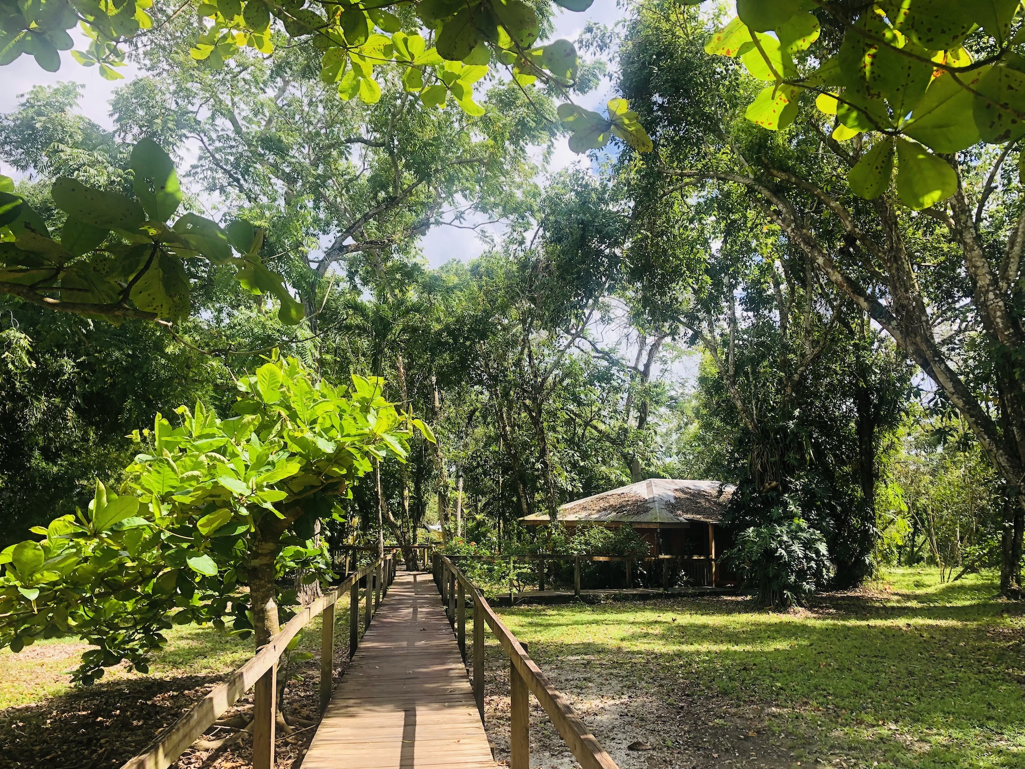 Howler Monkey Resort's walkway towards Cabins